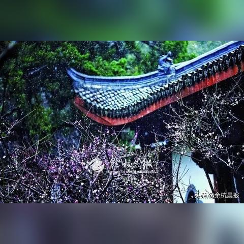 2025年3月19日 第32页