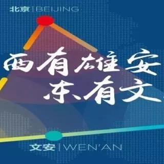 文安供水公司领导名单最新及核心团队介绍
